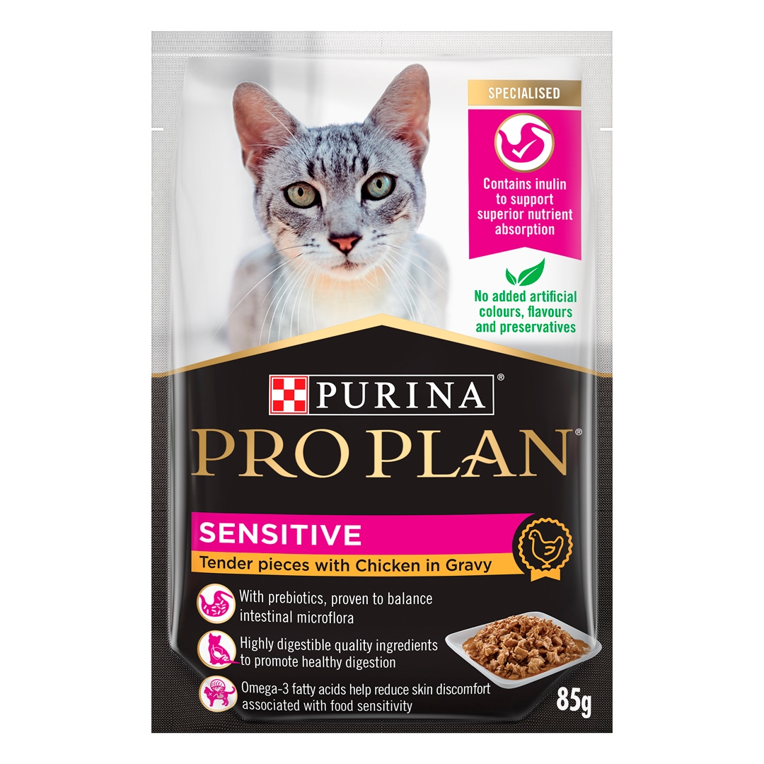 Easily digestible cat store food